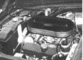 Flaminia Sport