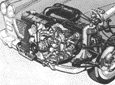 Flavia Berlina